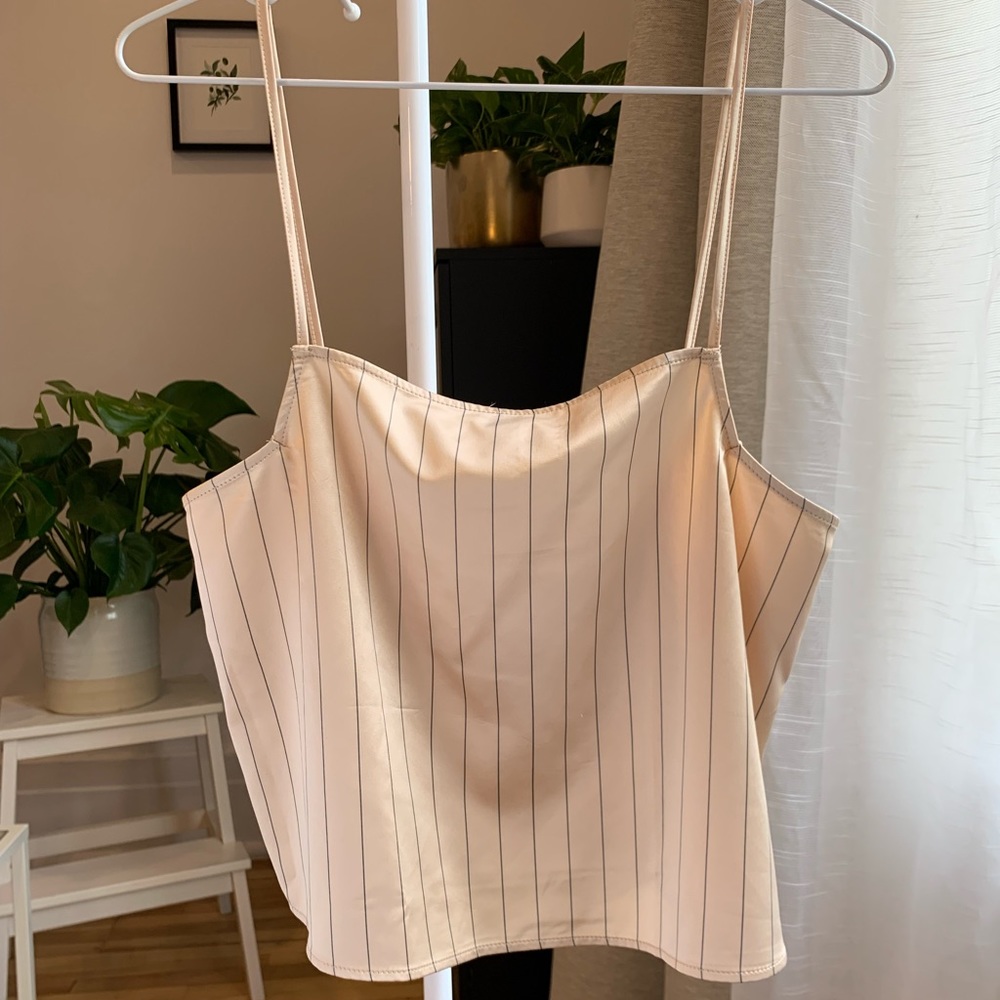 ✨Host Pick✨Zara Champagne Crop Top - Picture 1 of 3
